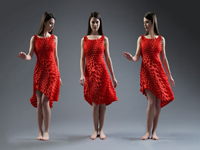 3D打印红裙：1600片拼装 花费3000美元