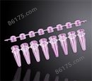 美国巴罗克0.2毫升八连凸盖PCR管，粉色