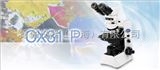 奥林巴斯CX31-P偏光显微镜